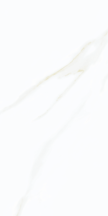 Time Cielo Matte 12 x 24